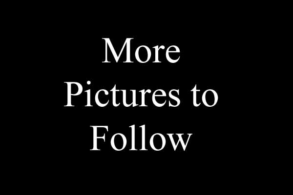 Goldsboro NC - Homes for Rent - Bedroom 3 - 315 Spring Creek Rd. Goldsboro NC 27534
