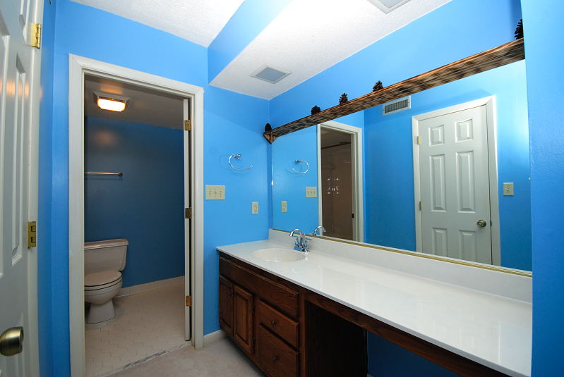 Goldsboro NC - Homes for Rent - Master Bathroom - 2000 Harris Street Goldsboro, NC 27530