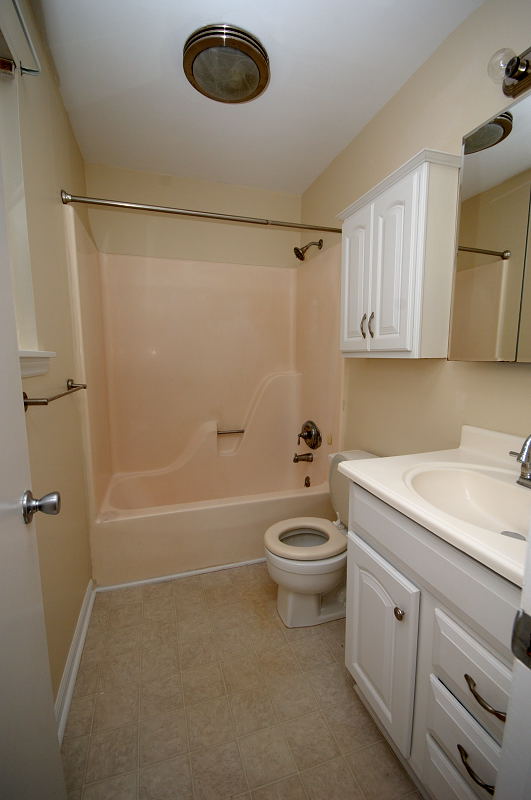 Goldsboro NC - Homes for Rent - 203 Duffy Drive Goldsboro, NC 27534 - Master Bathroom