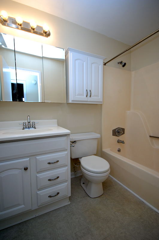 Goldsboro NC - Homes for Rent - 203 Duffy Drive Goldsboro, NC 27534 - Bathroom