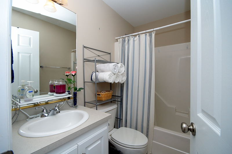 Goldsboro NC - Homes for Rent - Bathroom - 215 Wingspread Drive Goldsboro, NC 27530
