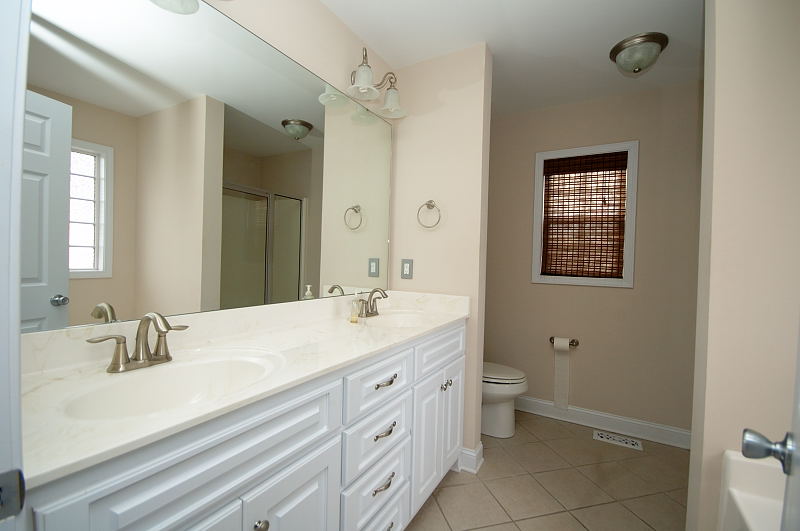 Goldsboro NC - Homes for Rent - Master Bathroom - 305 Grace's Farm Road La Grange NC 28551