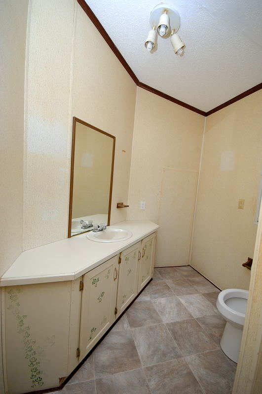 Goldsboro NC - Homes for Rent - 1648 Old Grantham Rd. Goldsboro NC 27530 - Primary Bathroom