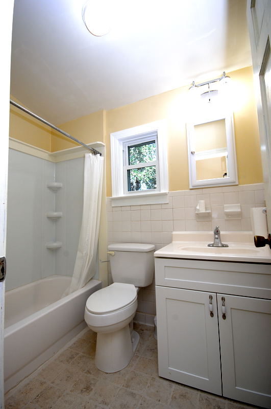 Goldsboro NC - Homes for Rent - 375 Exum Pond Rd. Snow Hill NC 28580 - Bathroom